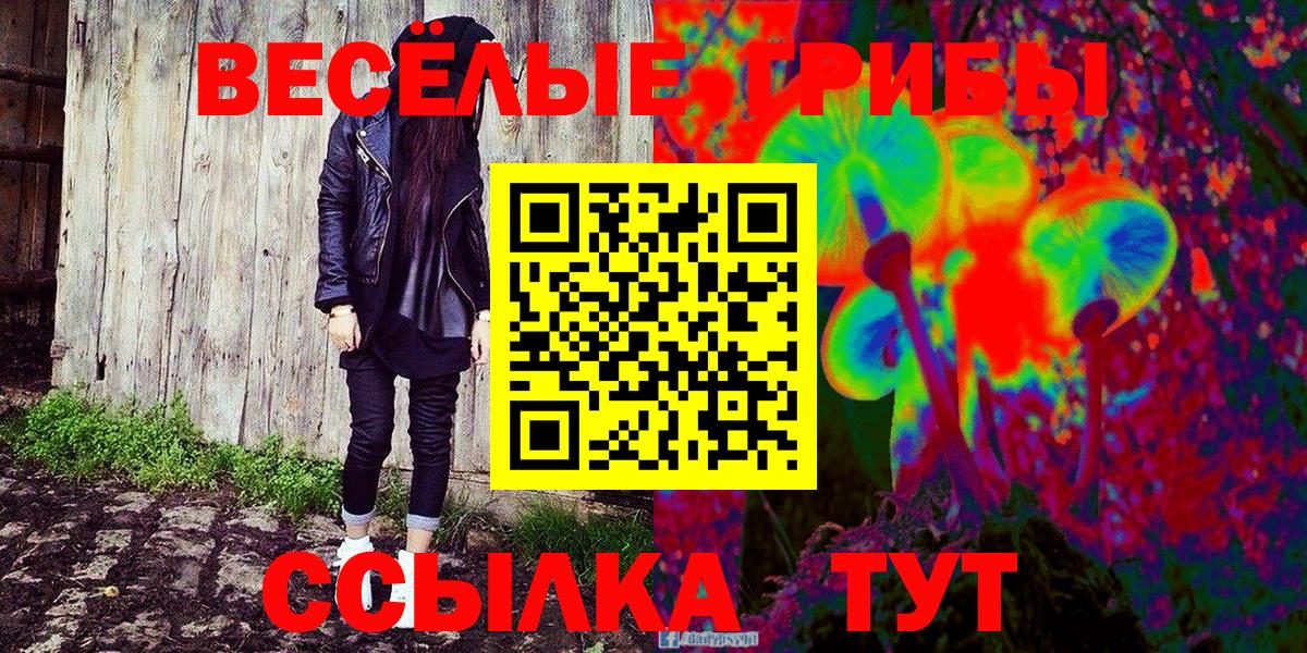 Псилоцибиновые грибы MAGIC MUSHROOMS  Вход с VPN  Димитровград 