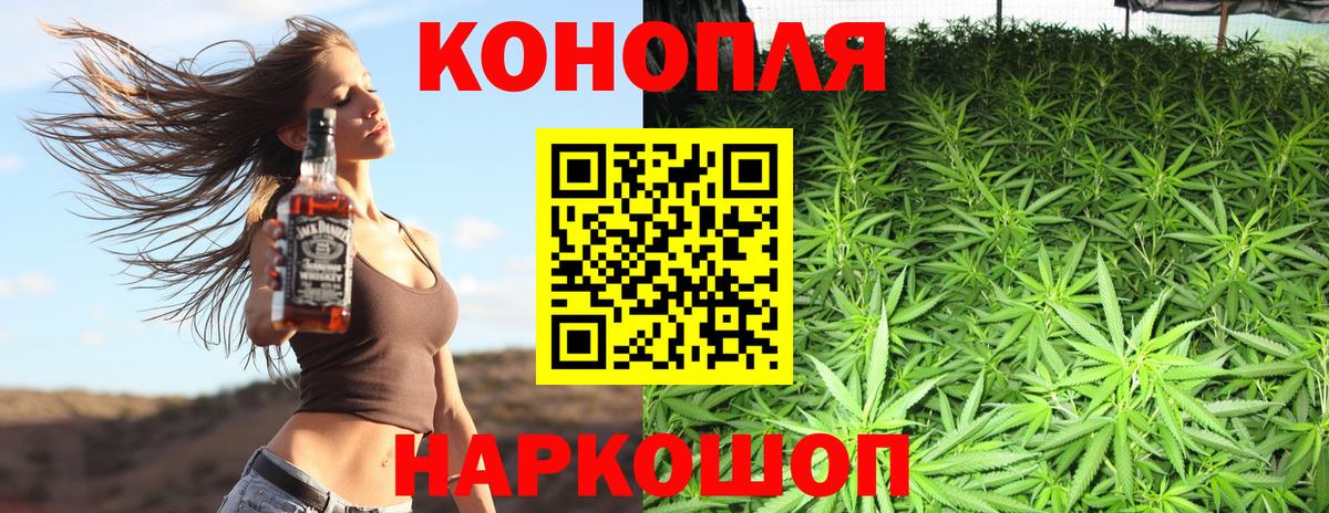 Каннабис планчик Димитровград